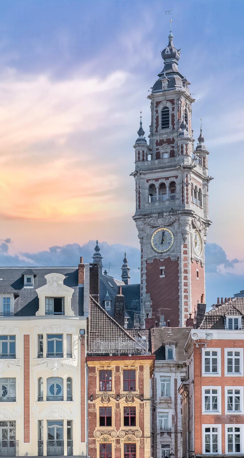 Centre historique de Lille avec le beffroi, secteur d'intervention du diagnostiqueur